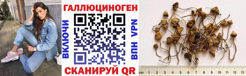 хочу Комсомольск Псилоцибиновые грибы прущие грибы